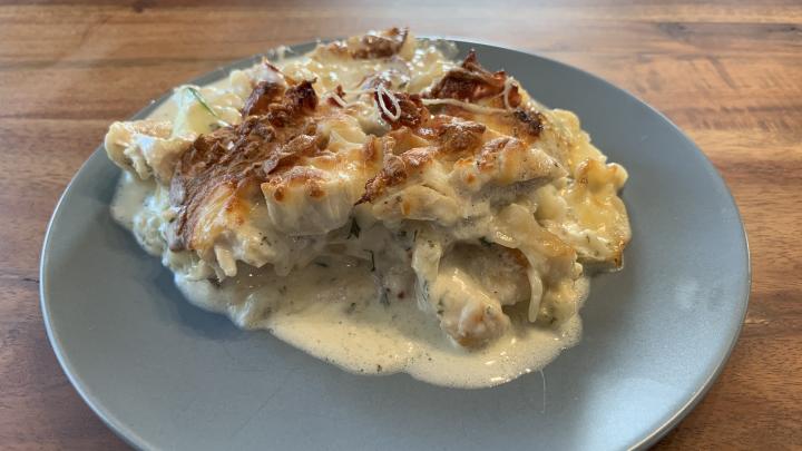 Chicken Alfredo Lasagne